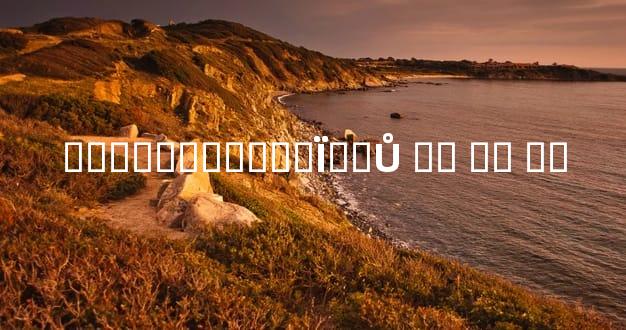 ���������Ƿ�Ϊ��Ů �� �� ��